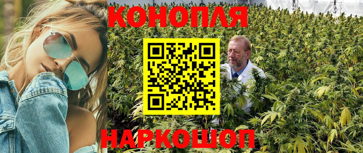 МАРИХУАНА сатива Богородск